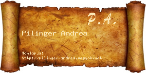 Pilinger Andrea névjegykártya